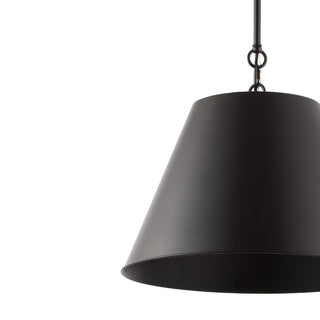 Alden Industrial Farmhouse Iron LED Pendant