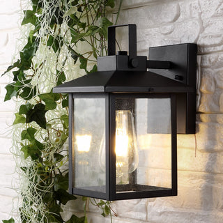 Donald 6.75" Iron/Seeded Glass Rustic Traditional Lantern LED Outdoor Lantern