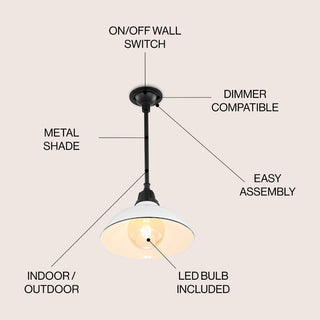 Antique 12.25" Farmhouse Industrial Indoor/Outdoor Iron LED Pendant