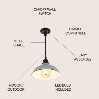 Antique 12.25" Farmhouse Industrial Indoor/Outdoor Iron LED Pendant