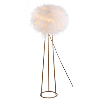 Rosy 52" Feather Metal LED Floor Lamp