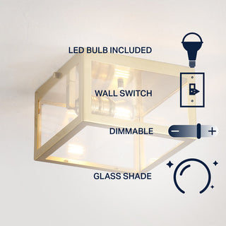 Baxter 8" Farmhouse Industrial Square Iron/Glass Case LED Flush Mount