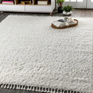 Santiago Mercer Shag Plush Tassel Area Rug