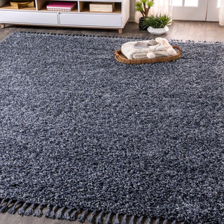 Santiago Mercer Shag Plush Tassel Area Rug