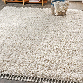 Santiago Mercer Shag Plush Tassel Area Rug