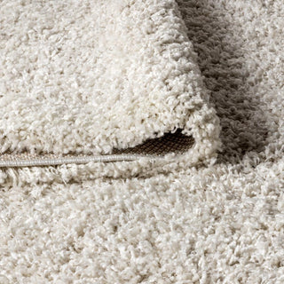 Santiago Mercer Shag Plush Tassel Area Rug