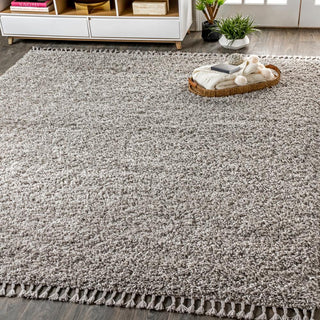 Santiago Mercer Shag Plush Tassel Area Rug