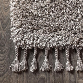 Santiago Mercer Shag Plush Tassel Area Rug