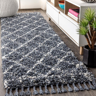 Denver Mercer Shag Plush Tassel Area Rug