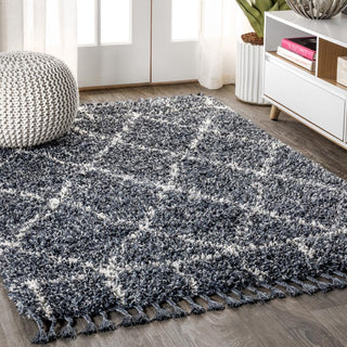 Denver Mercer Shag Plush Tassel Area Rug