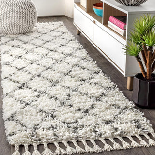 Denver Mercer Shag Plush Tassel Area Rug