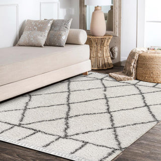 Denver Mercer Shag Plush Tassel Area Rug