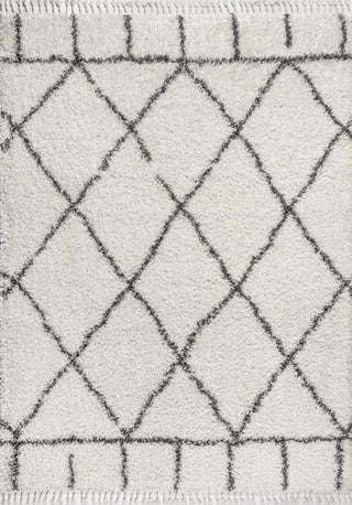 Denver Mercer Shag Plush Tassel Area Rug