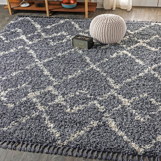 Eden Mercer Shag Plush Tassel Area Rug