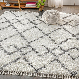 Eden Mercer Shag Plush Tassel Area Rug