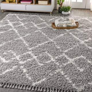 Eden Mercer Shag Plush Tassel Area Rug