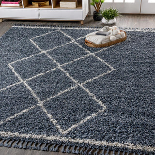 Leland Mercer Shag Plush Tassel Area Rug