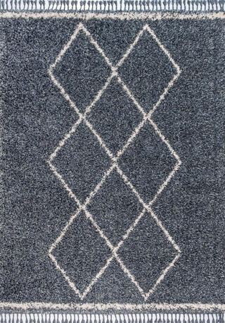 Leland Mercer Shag Plush Tassel Area Rug