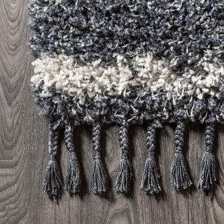 Leland Mercer Shag Plush Tassel Area Rug