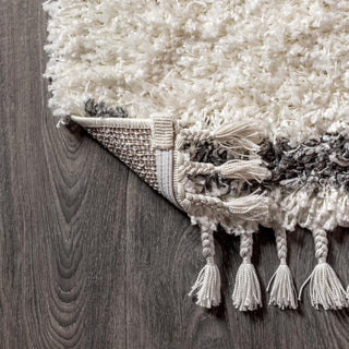 Leland Mercer Shag Plush Tassel Area Rug