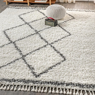 Leland Mercer Shag Plush Tassel Area Rug