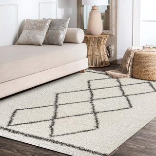 Leland Mercer Shag Plush Tassel Area Rug