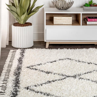 Leland Mercer Shag Plush Tassel Area Rug