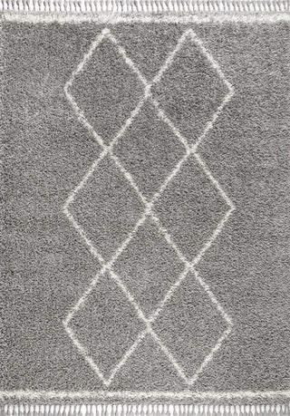 Leland Mercer Shag Plush Tassel Area Rug