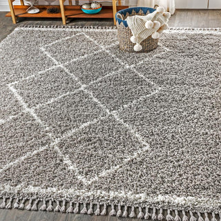 Leland Mercer Shag Plush Tassel Area Rug