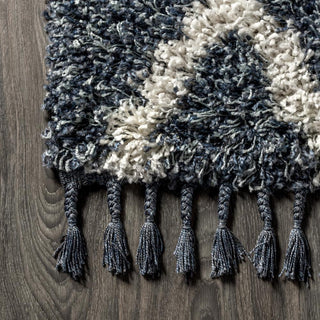 Wyoming Mercer Shag Plush Tassel Area Rug