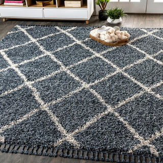 Wyoming Mercer Shag Plush Tassel Area Rug