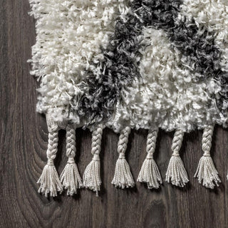 Wyoming Mercer Shag Plush Tassel Area Rug