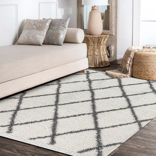 Wyoming Mercer Shag Plush Tassel Area Rug