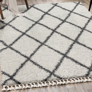 Wyoming Mercer Shag Plush Tassel Area Rug