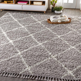 Wyoming Mercer Shag Plush Tassel Area Rug