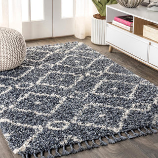 Sedona Mercer Shag Plush Tassel Area Rug