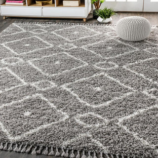 Sedona Mercer Shag Plush Tassel Area Rug