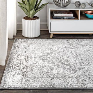 Sapporo Modern Persian Vintage Medallion Area Rug