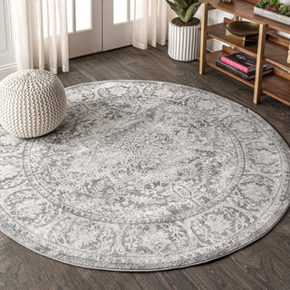 Sapporo Modern Persian Vintage Medallion Area Rug