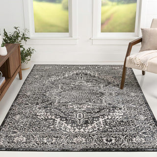 Sol Persian Vintage Medallion Area Rug
