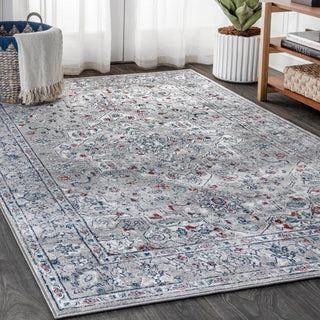 Mito Modern Persian Vintage Medallion Area Rug