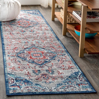 Matsue Modern Persian Vintage Medallion Area Rug