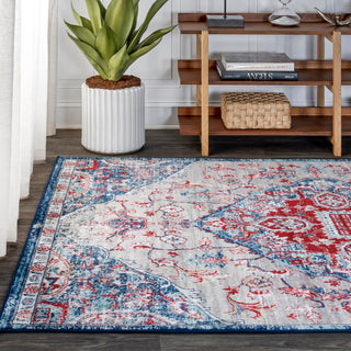 Matsue Modern Persian Vintage Medallion Area Rug