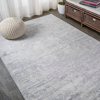 Matsue Modern Persian Vintage Medallion Area Rug