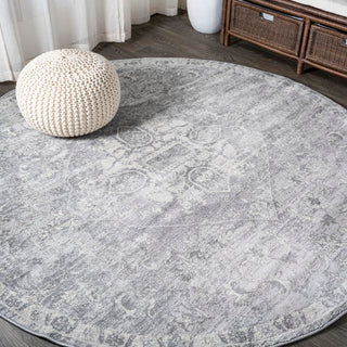 Matsue Modern Persian Vintage Medallion Area Rug