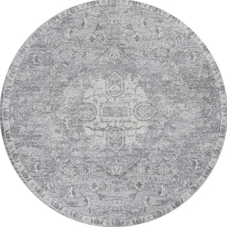 Matsue Modern Persian Vintage Medallion Area Rug