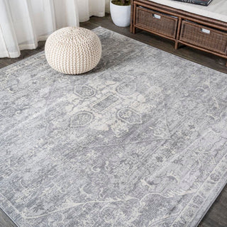 Matsue Modern Persian Vintage Medallion Area Rug