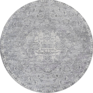 Matsue Modern Persian Vintage Medallion Area Rug