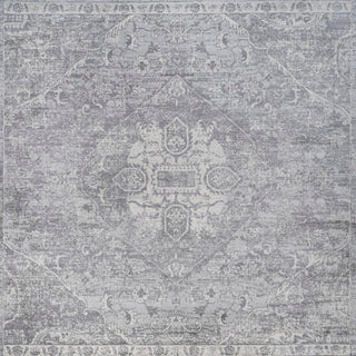 Matsue Modern Persian Vintage Medallion Area Rug