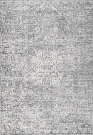 Matsue Modern Persian Vintage Medallion Area Rug